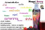 maqui berry